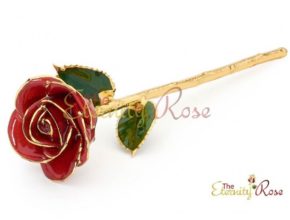 red glazed rose